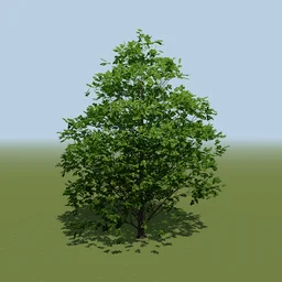 Growing Trees