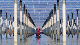 Solar power is becoming bigger than nuclear